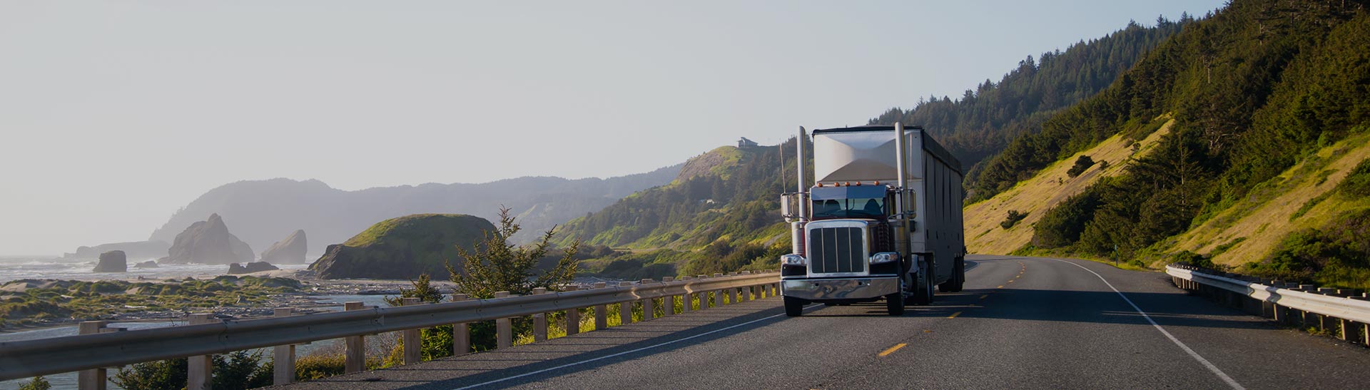 Oakville Trucking Service, Freight Forwarding Services and Logistics Services